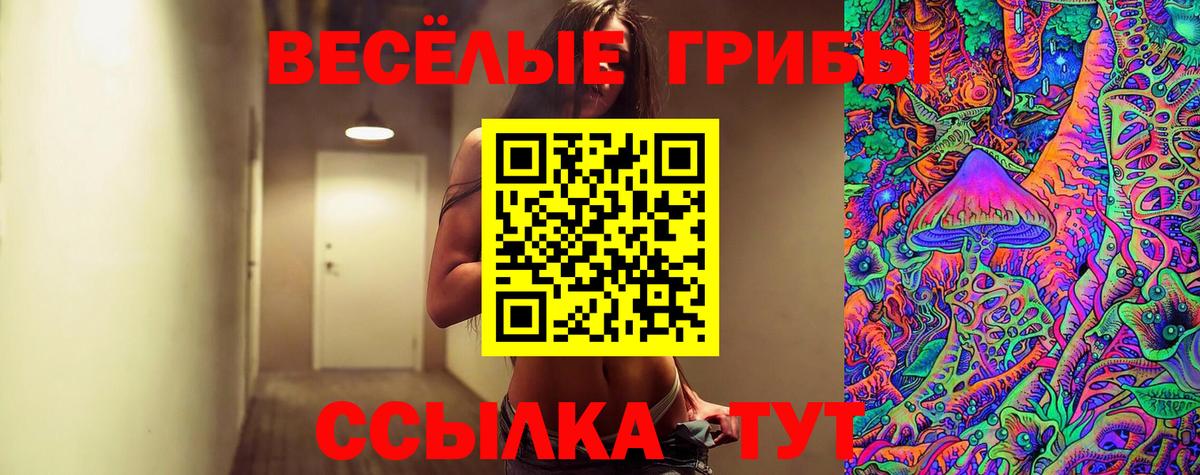 Псилоцибиновые грибы GOLDEN TEACHER Тобольск