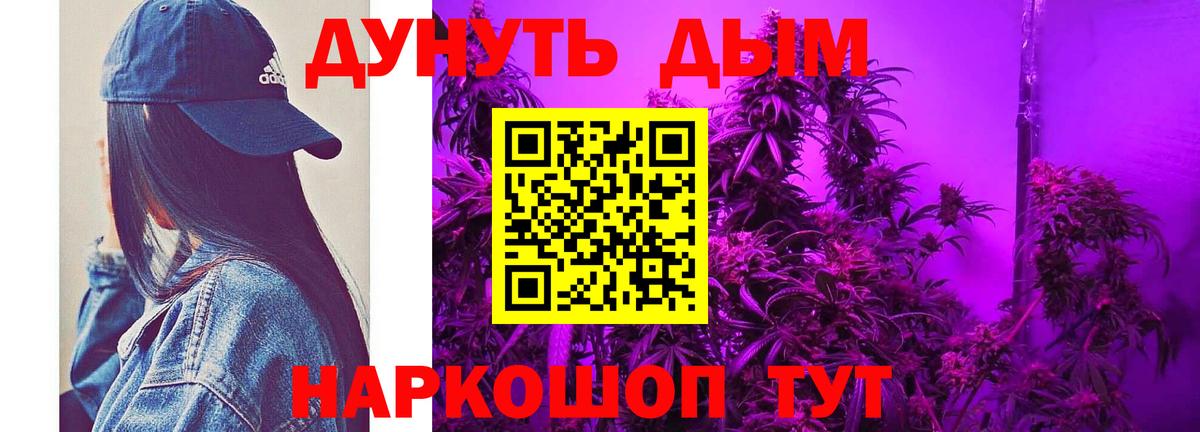 Бошки Шишки план Тобольск
